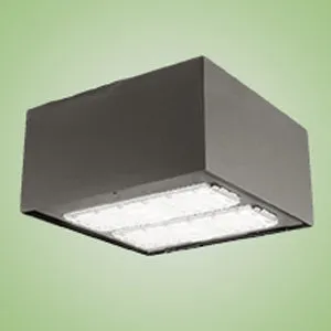 Techlight LCES Fusion Series Small Extruded LED Canopy